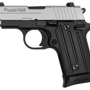 Get P238 TWO-TONE  Online - Handguns - Montana Gun Shop