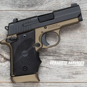 P938 BRG - 18 | Montana Gun Shop