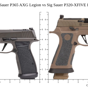 P365-DH3 AXG - Handguns - Montana Gun Shop